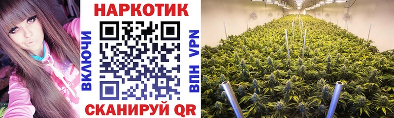 Наркошоп купить Альфа ПВП  Cocaine  Меф  Галлюциногенные грибы  МАРИХУАНА  Знаменск