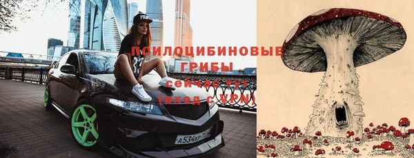 соль ск Зеленокумск