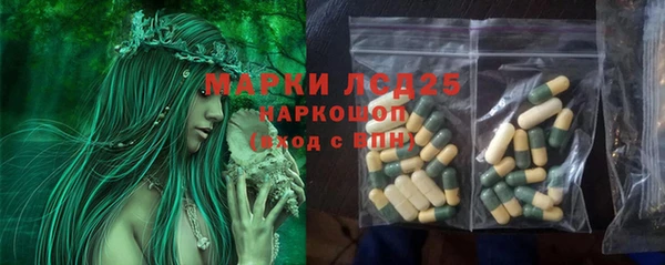 соль ск Зеленокумск