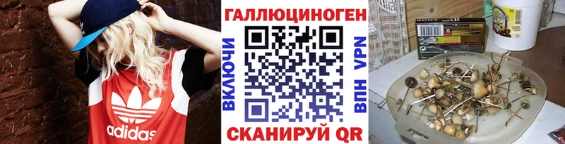 Галлюциногенные грибы MAGIC MUSHROOMS  Купить где  Знаменск 